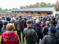 WG031025-14 - Warren Greatrex Stable Visit